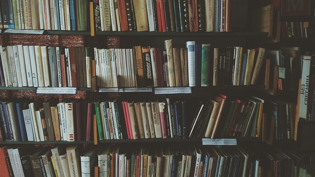 Image of a Bookcase